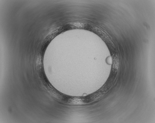 X0000115320518200912141201