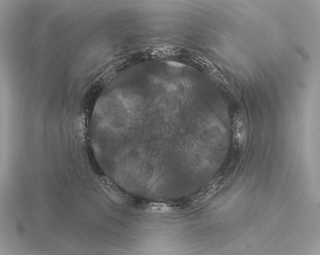 X0000115320519200912141201