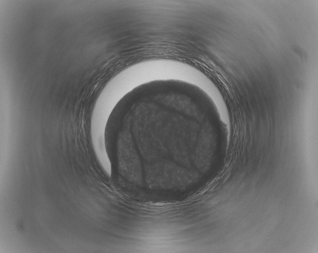 X0000115320520200912141201