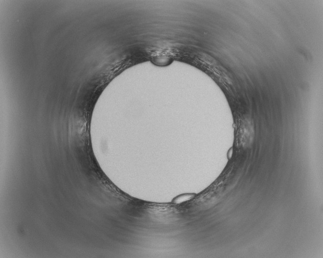 X0000115320521200912141201