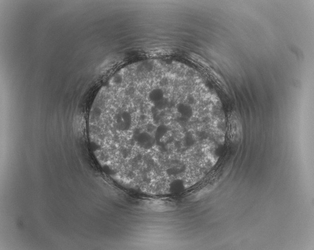 X0000115320523200912141201