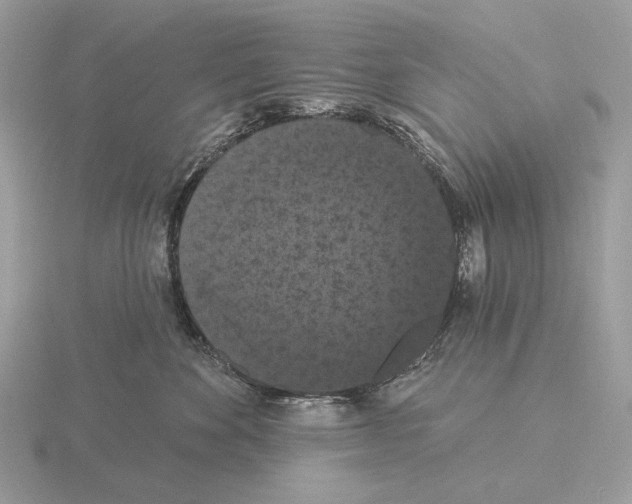 X0000115320524200912141201