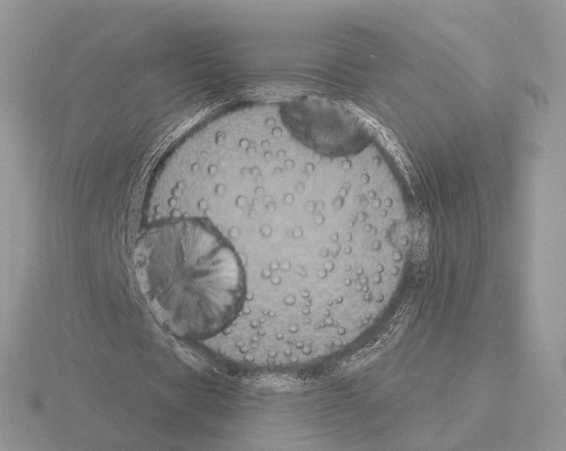 X0000115320529200912141200