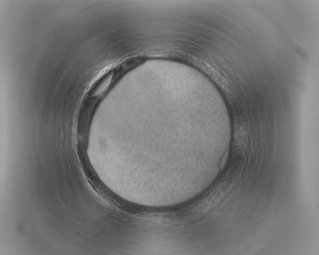 X0000115320530200912141200