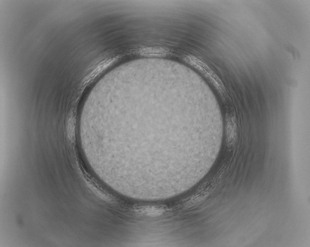 X0000115320533200912141200