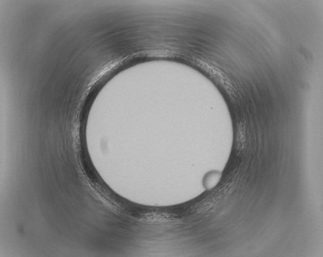 X0000115320535200912141200