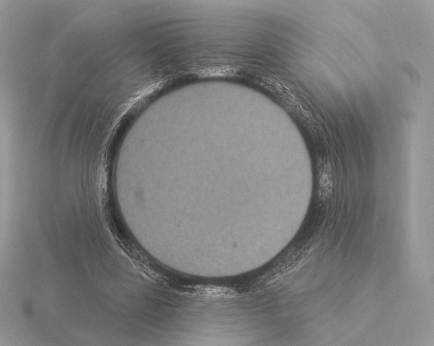 X0000115320539200912141200