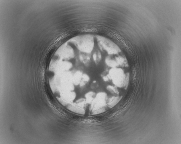 X0000115320542200912141200