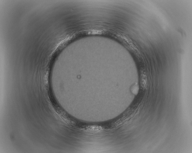 X0000115320543200912141200