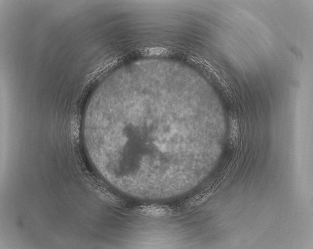 X0000115320545200912141200