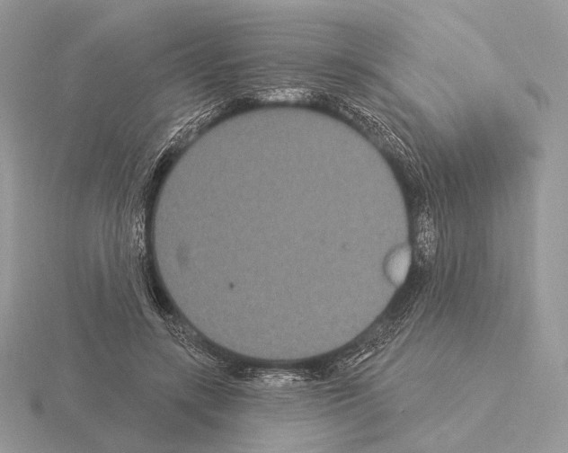 X0000115320547200912141200