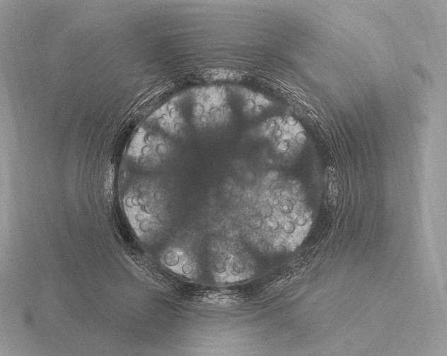 X0000115320550200912141200