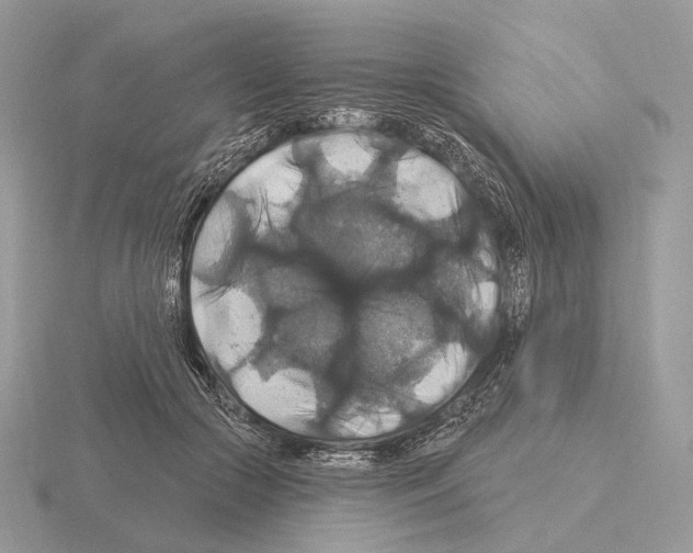 X0000115320553200912141200