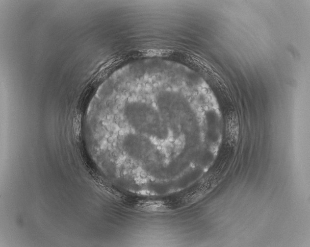 X0000115320554200912141200