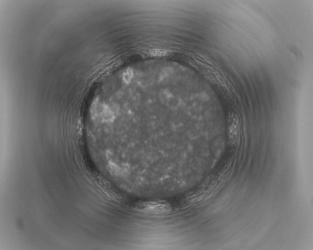 X0000115320555200912141200