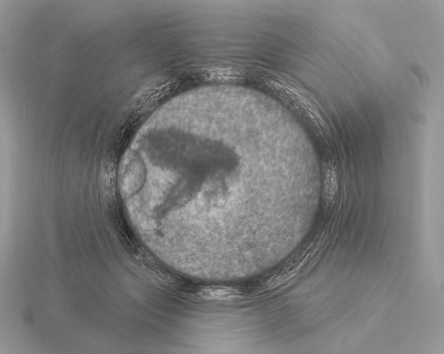 X0000115320557200912141200