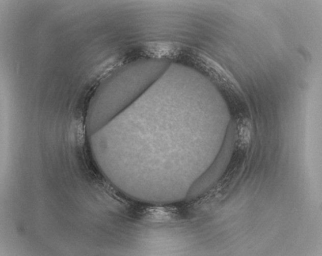 X0000115320558200912141200