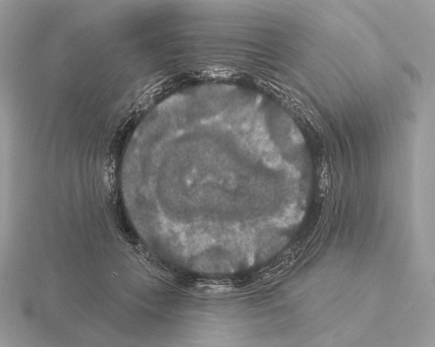 X0000115320559200912141200