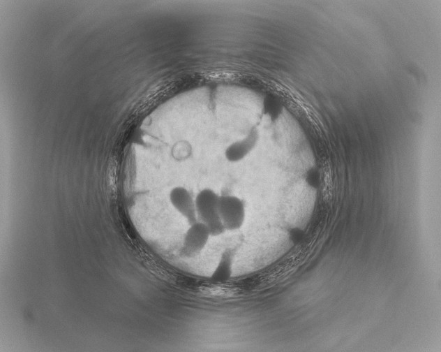 X0000115320561200912141200