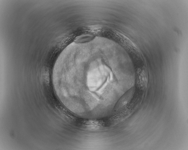 X0000115320562200912141200