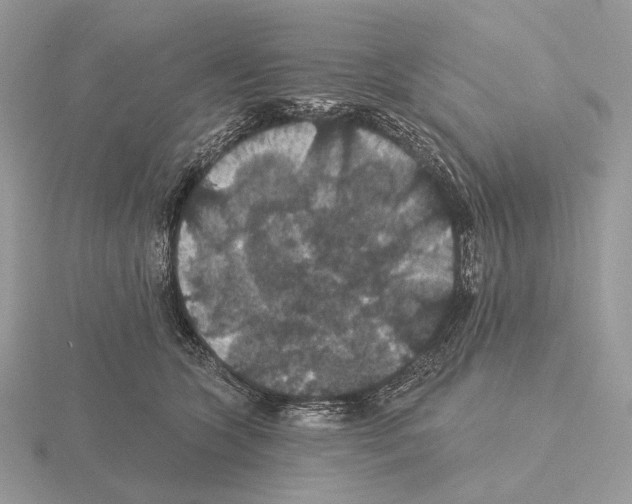 X0000115320563200912141200