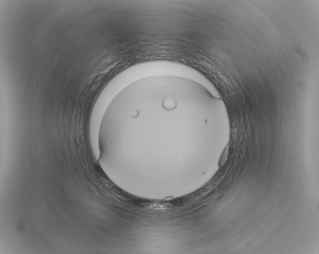 X0000115320566200912141200