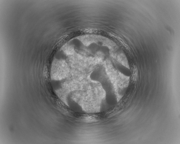 X0000115320569200912141200