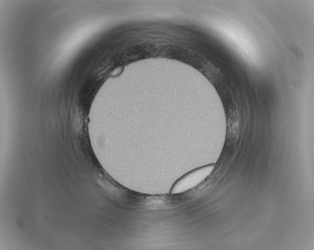 X0000115320574200912141200