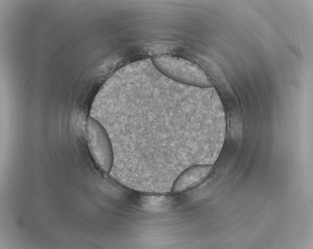 X0000115320575200912141200