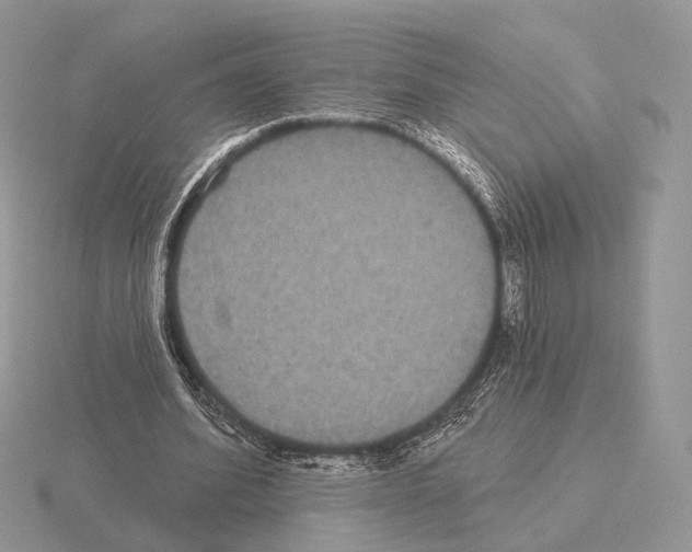 X0000115320580200912141200