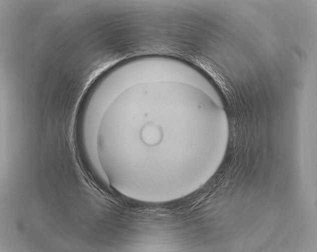 X0000115320583200912141200