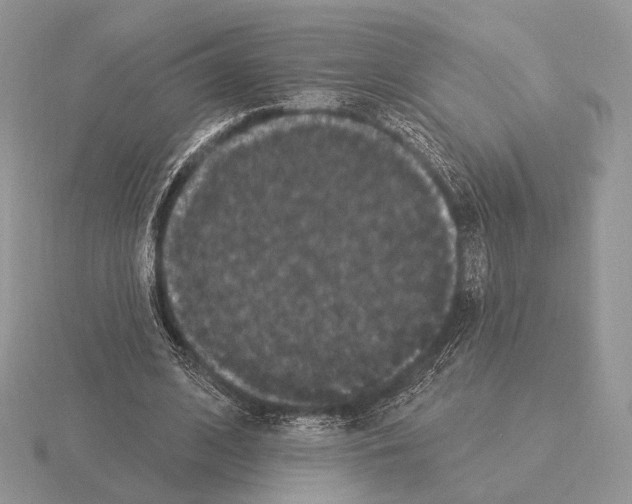 X0000115320584200912141200