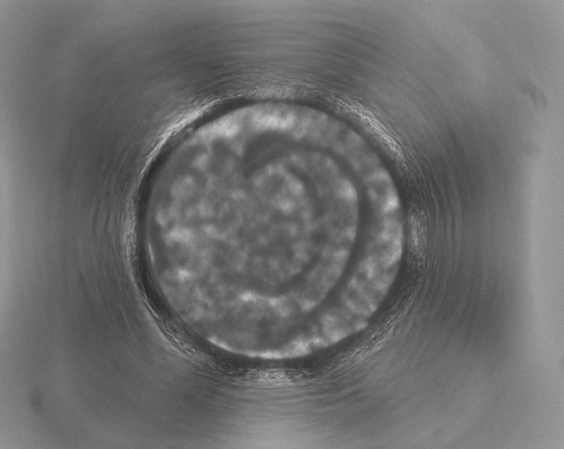 X0000115320588200912141200