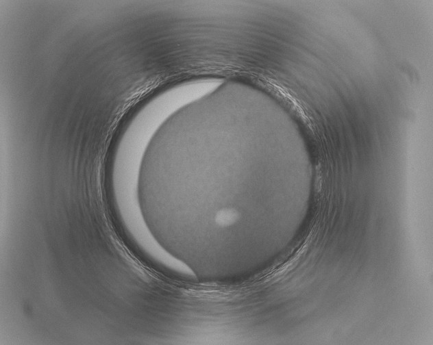 X0000115320589200912141200