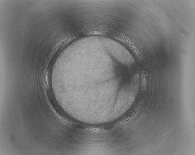 X0000115320590200912141200