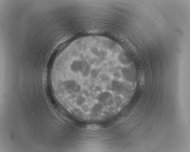 X0000115320591200912141200