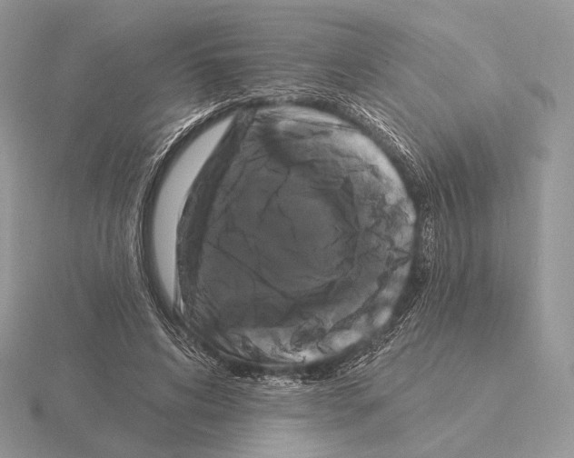 X0000115320592200912141200