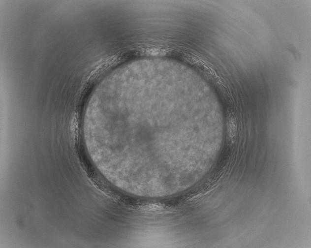 X0000115320594200912141200