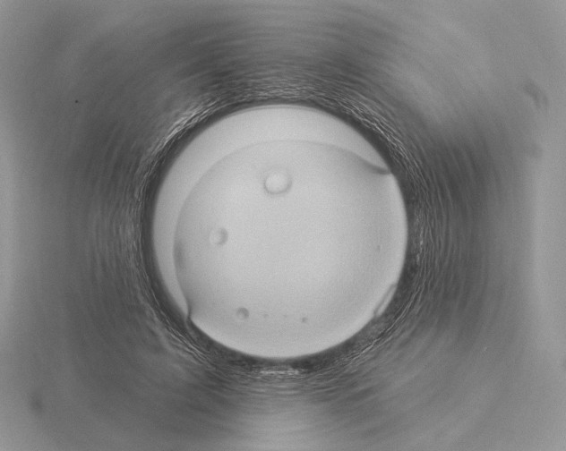 X0000115320595200912141200