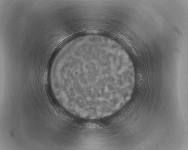 X0000115320596200912141200