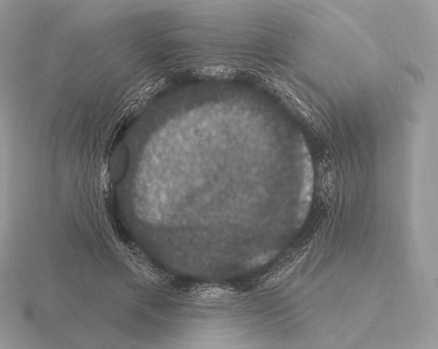 X0000115320597200912141200