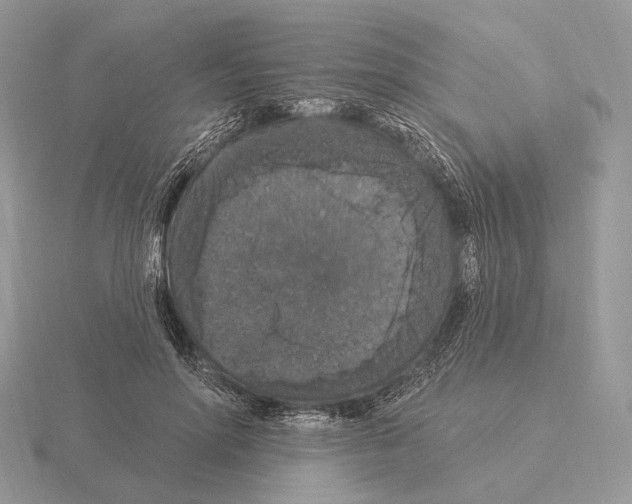 X0000115320598200912141159