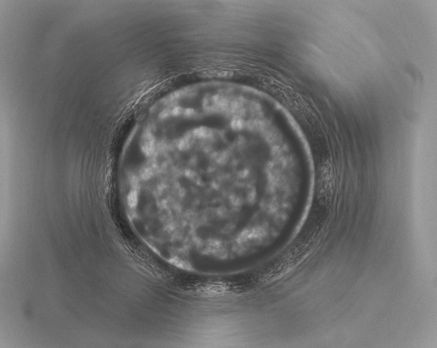 X0000115320600200912141159