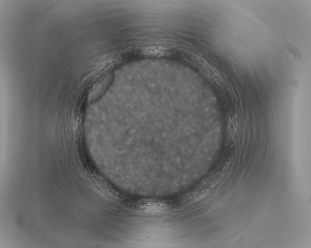 X0000115320601200912141159