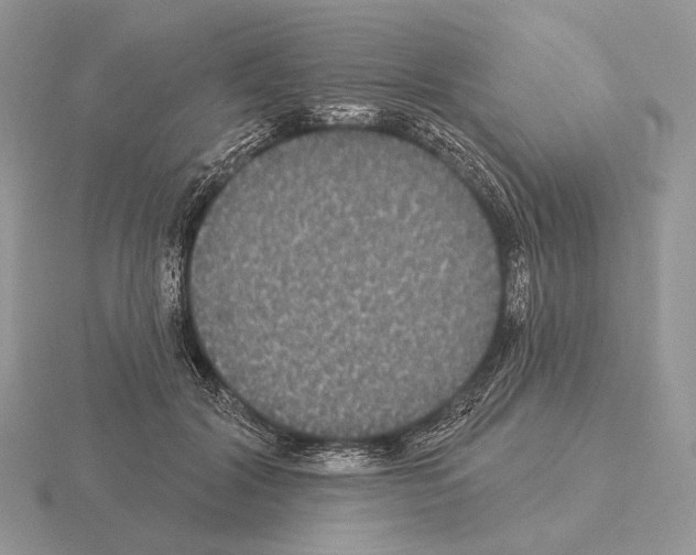 X0000115320604200912141159