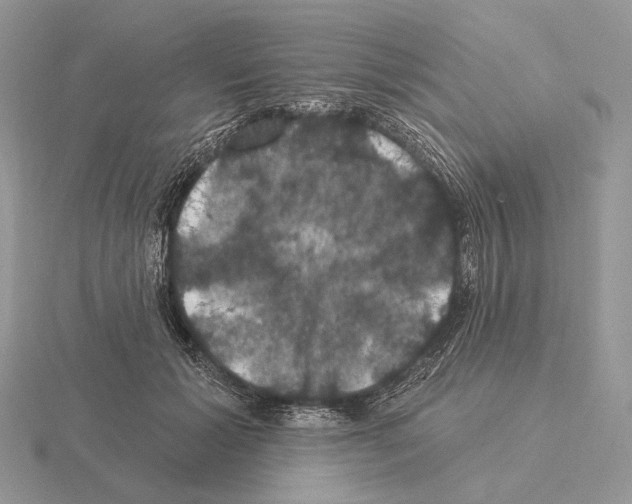 X0000115320605200912141159