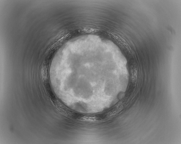 X0000115320606200912141159