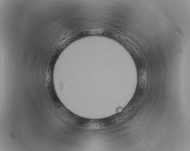 X0000115320608200912141159