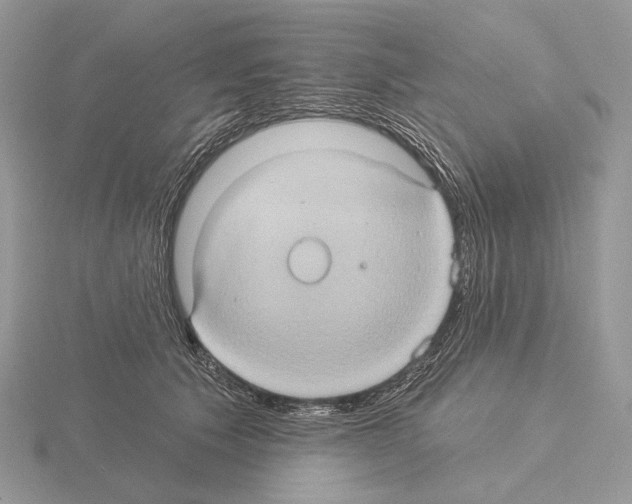 X0000115320609200912141159