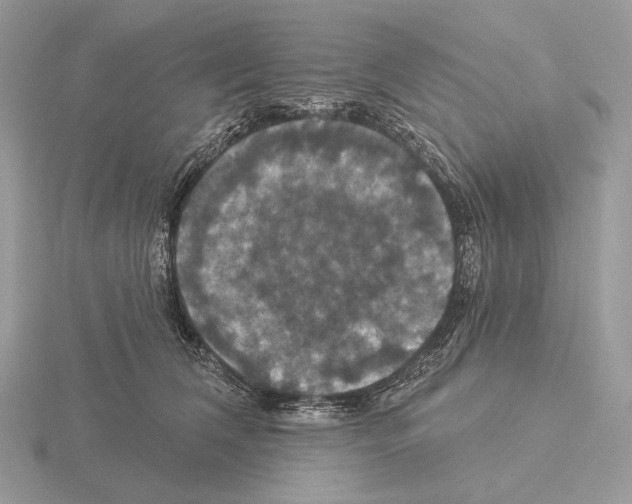 X0000115320612200912141159